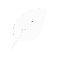 Environment Friendly